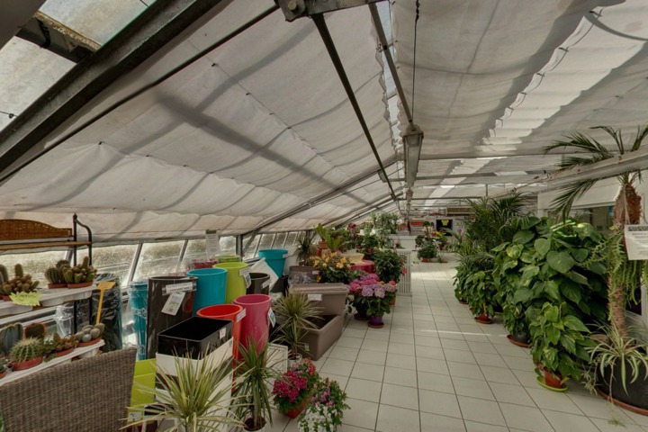 Mirabeau Plantes  Les Pennes Mirabeau (13)