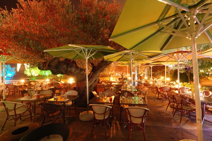 La Villa des Oliviers -Toulouse (31)