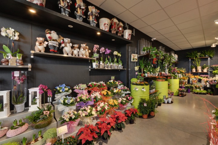 Ambiance Fleurs